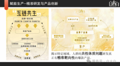 打通“数据-研发-出产-消费”闭